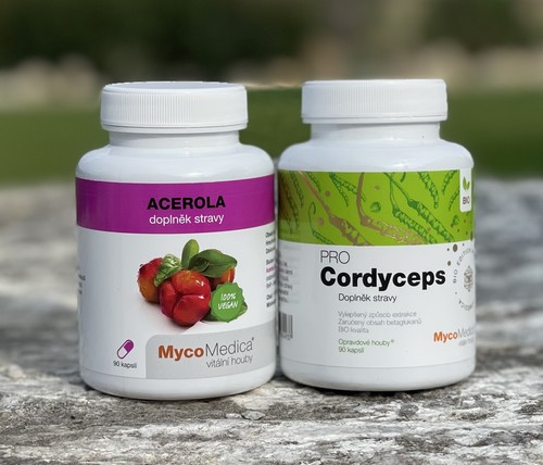 Codyceps-pro-a-Acerola-cestouprirody.eu